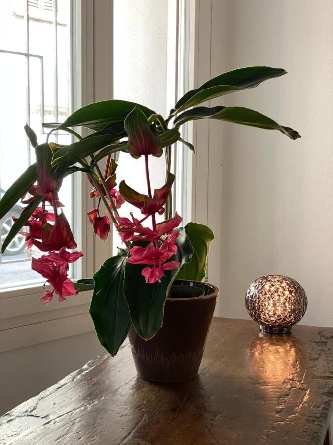 Casimiro Home 切塞纳 外观 照片